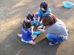 DSC06019 (500x375)