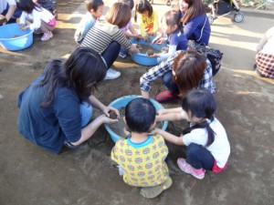 DSC06020 (500x375)