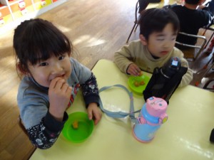 DSC06774 (500x375)