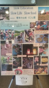 20150228_114342 (281x500)
