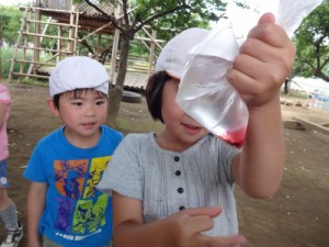 DSC08300 (400x300)