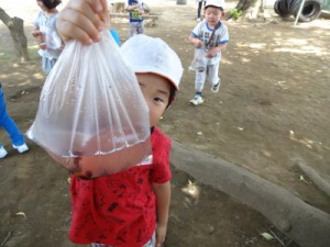 DSC08305 (400x300)