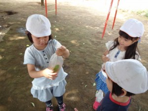 DSC08306 (400x300)