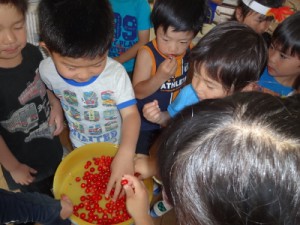DSC08346 (400x300)