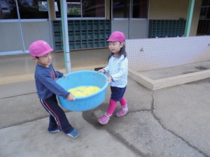 DSC00183 (500x375)