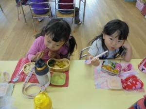 DSC00208 (500x375)