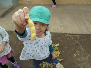 DSC00234 (500x375)