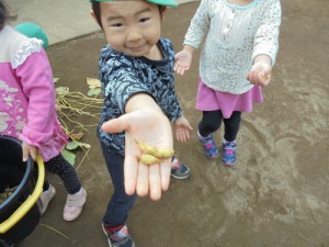 DSC00237 (500x375)