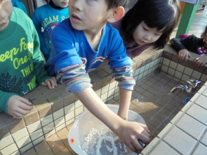 DSC06110 (500x375)
