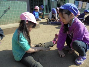 DSC06973 (500x375)