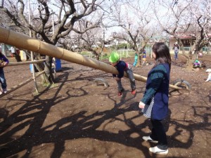 DSC07323 (400x300)