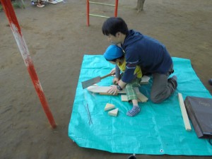 DSC08027 (500x375)