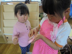 DSC08163 (500x375)