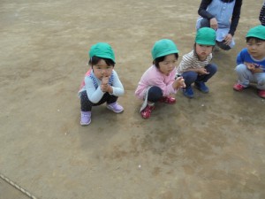 DSC08174 (500x375)