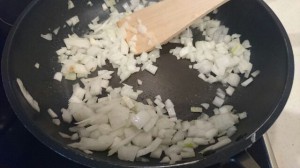 IMG_20160425_22108