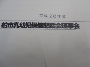 DSC08841 (400x300)