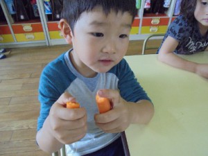 DSC08891 (400x300)