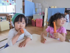 DSC08895 (400x300)