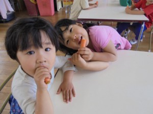 DSC08906 (400x300)