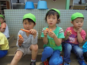 DSC08911 (400x300)
