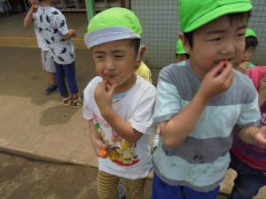 DSC08912 (400x300)