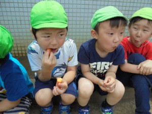 DSC08913 (400x300)