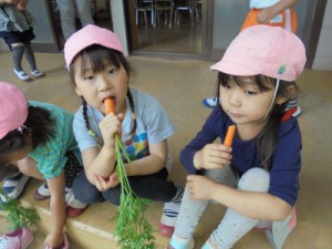 DSC08916 (400x300)