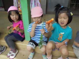 DSC08918 (400x300)