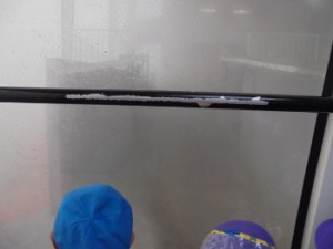 DSC09195 (350x263)