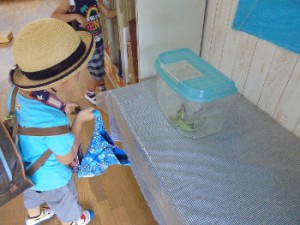 dsc00124-350x263
