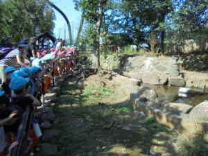 dsc00662-350x263