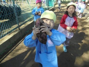 dsc00707-350x263