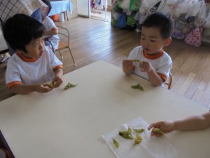 dsc00724-350x263