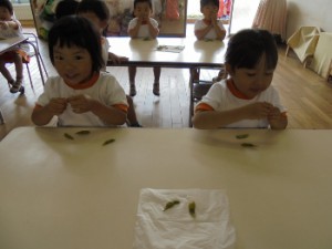 dsc00725-350x263