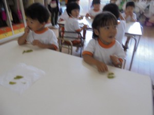 dsc00727-350x263