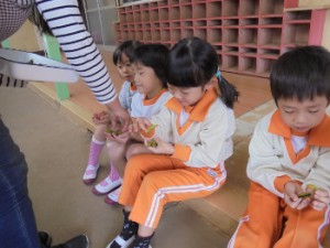 dsc00731-350x263