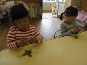dsc00751-350x263