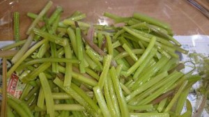 img_20161028_52543