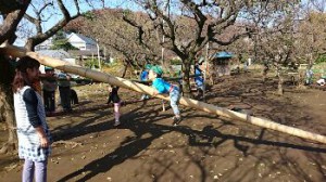 img_20161123_16879