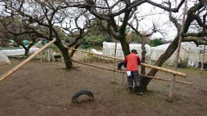 img_20161123_21835