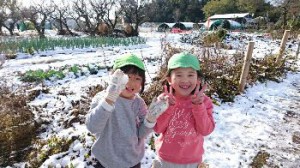 img_20161125_11135