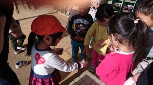 img_20161125_1378