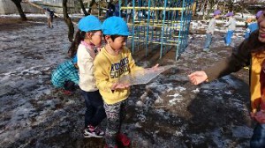 img_20161125_43673