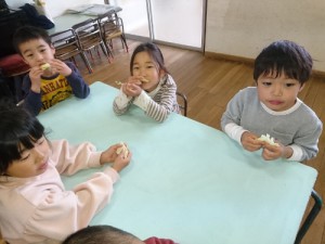 DSC_3831 (500x375)