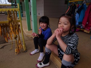 DSC_3902 (500x375)