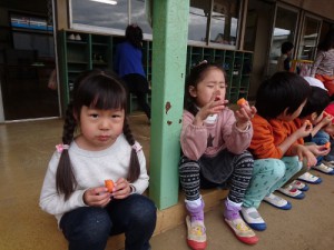 DSC_3912 (500x375)