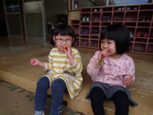 DSC_3914 (500x375)