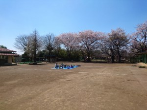 DSC_3926 (500x375)