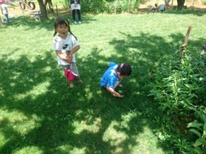 DSC_4748 (400x300)