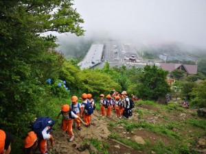 IMG_20180621_19398